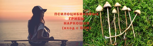 прущая мука Алзамай