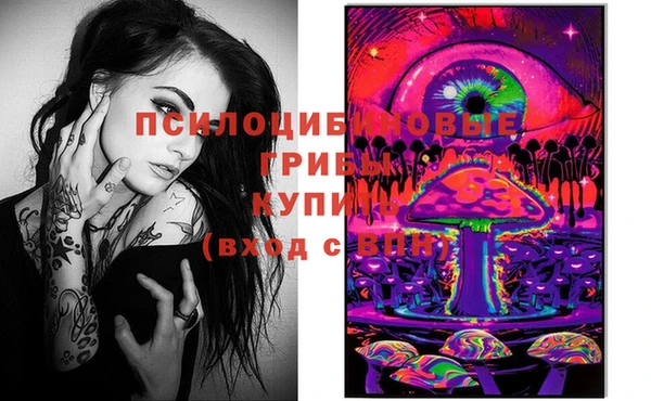 МДПВ Алексеевка
